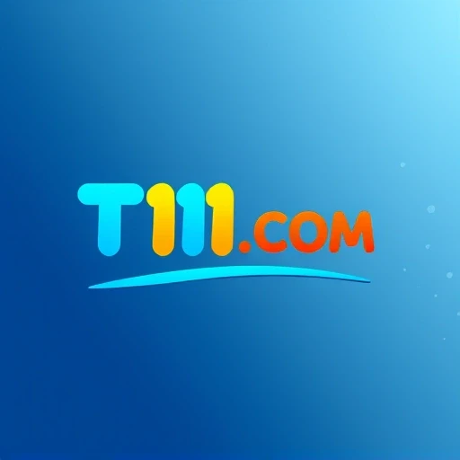 T111.COM